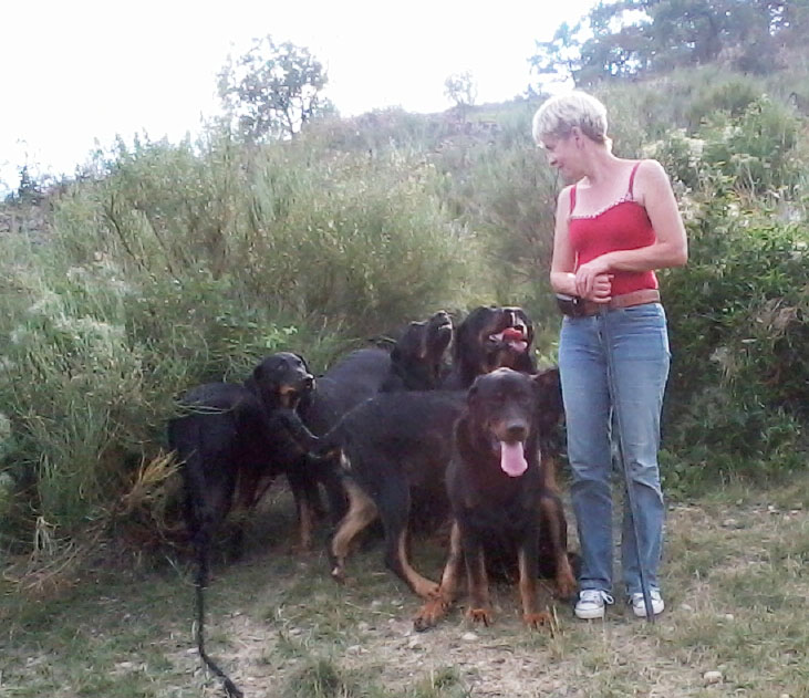 domainedelalicorne.fr Elevage de beauceron chiot beauceron pure race élevage du clos de la licorne elevage des gardiens de la licorne elevage beauceron noir et feu authentique gros gabarits élevage de Beauceron familial sérieux et qualité domainedelalicorne.fr suivi des chiots conseil d’éducation chiot propre bas rouge santé caractère spécialiste du beauceron noir et feu ou arlequin chien rustique berger de France  nos chiots sont élevés avec amour et attention notre passion au service de la qualité Beauceron de qualité et sportif domaine de la licorne 04380 BARRAS élevage en liberté éleveur berger de beauce élevage de beauceron de travail 